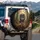 Majestic Gray Wolf Intense Amber Eyes Autumn Forest - Wildlife Lover Gift Spare Tire Cover - 3