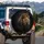 Majestic Lion Head Profile Elaborate Golden Crown - Wildlife Lover Gift for Men Spare Tire Cover - 3