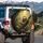 Smiling Sloth Tree Branch Tropical Forest - Outdoor Adventure Gift for Nature Lovers Spare Tire Cover - 3