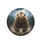 Powerful Charging Grizzly Bear Mountain Landscape - Wildlife Lover Outdoor Adventure Gift Spare Tire Cover - 4