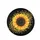 Magnificent Realistic Sunflower Golden Butterflies Black Background - Nature Lover Gift Spare Tire Cover - 4