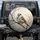 House Sparrow Yellow Beak Perched Bare Branch - Wildlife Lover Gift Spare Tire Cover - 1