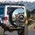 Raccoons Wearing Sunglasses Gripping Steering Wheel - Wildlife Road Trip Accessory Spare Tire Cover - 3