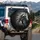 Horse Head Profile Flowing Mane Wind Swirls - Wildlife Lover Gift Spare Tire Cover - 3