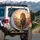 Majestic Golden-Mane Lion Wildflower Meadow Sunset - Wildlife Lover Gift Spare Tire Cover - 3