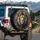 Majestic Male Lion Face Textured Mane Stone Carving - Wildlife Lover Gift Spare Tire Cover - 3