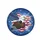 Majestic Bald Eagle American Flag Independence Day Gift for Veterans Spare Tire Cover - 4