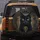Black Cat Golden Eyes Arcane Glyphs - Mystical Decor Gift for Cat Lover Spare Tire Cover - 5
