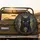 Black Cat Golden Eyes Arcane Glyphs - Mystical Decor Gift for Cat Lover Spare Tire Cover - 2