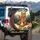 Jovial Bear Beer Mug Campfire SHUH DUH FUH CUP - Funny Outdoor Lover Gift for Him Spare Tire Cover - 3