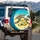 Realistic Sea Turtles Yellow Lemons Beach Ocean Scene - Wildlife Lover Gift Spare Tire Cover - 3