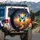 Blue Morpho Butterfly Golden Path Wheat Starry Night - Nature Lover Gift Spare Tire Cover - 3