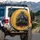 Silverback Gorilla Camera - Wildlife Lover Gift for Photographers Spare Tire Cover - 3
