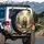 Majestic Brown Bear Walking Forward Dense Forest Landscape Deep Green - Wildlife Lover Gift Spare Tire Cover - 3