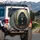 Black Bear Glowing Amber Eyes Tangled Roots Dense Ancient Forest - Wildlife Lover Gift Spare Tire Cover - 3