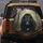 Black Bear Glowing Amber Eyes Tangled Roots Dense Ancient Forest - Wildlife Lover Gift Spare Tire Cover - 5