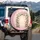 Full-Canvas Pink Roses White Dahlias Daisies Floral Arch Greenery - Car Decor Gift Spare Tire Cover - 3