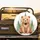 Soft Brown Bear Forest Pine Trees Leafy Sprigs - Wildlife Lover Gift for Kids Spare Tire Cover - 2