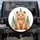 Soft Brown Bear Forest Pine Trees Leafy Sprigs - Wildlife Lover Gift for Kids Spare Tire Cover - 1
