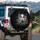 White-Grey Octopus Curled Tentacles Earthy Splatter Water Ripples - Wildlife Lover Gift Spare Tire Cover - 3