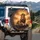Majestic African Lion Rugged Rock Golden Sunset - Wildlife Lover Outdoor Decor Gift Spare Tire Cover - 3