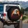 Bald Eagle Metal Chain Flames Crimson Roses Barbed Wire - Wildlife Lover Gift Spare Tire Cover - 3