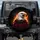 Bald Eagle Metal Chain Flames Crimson Roses Barbed Wire - Wildlife Lover Gift Spare Tire Cover - 1