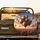 Hot Air Balloons European Cityscape Terracotta Roofs Golden Light Dawn Dusk Travel Lover Gift Spare Tire Cover - 2