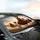 Striding Rooster Chick Hens Sunglasses - Adventure Farm Animal Gift Car Sunshade - 6