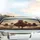 Striding Rooster Chick Hens Sunglasses - Adventure Farm Animal Gift Car Sunshade - 5