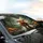 Fluffy Highland Calf Cosmos Flowers Forest Stream - Nature & Wildlife Lover Gift Car Sunshade - 6