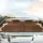 Natural Cowhide Rich Brown Cream Continuous Hide - Car Interior Upgrade for Cow Lover Car Sunshade - 5