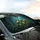Green Tree Frogs Jungle Butterflies Dark Forest Foliage - Car Interior Decor Gift Car Sunshade - 6