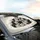 Peeking Cats Furry Faces Wall Paw Prints - Cat Lover Car Decor Gift Car Sunshade - 6