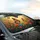 Monarch Butterflies Blooming Flower Garden - Nature Lover Gift Car Sunshade - 6