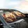 Kangaroos Driving Sunset Sunglasses - Outback Road Trip Adventure Gift Car Sunshade - 6