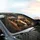 Yorkshire Terriers Flat Caps Dog Tags Vintage Study - Dog Lover Gift Car Sunshade - 6