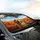 Golden Retriever Tabby Cat Autumn Road Trip - Everyday Pet Lover Gift Car Sunshade - 6