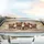 Yorkshire Terriers Golden Crowns Flowing Ribbons - Luxury Pet Lover Gift Car Sunshade - 5
