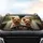 Yorkshire Terriers Golden Sunlight Interior - Road Trip Dog Lover Gift Car Sunshade - 4