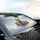 Hamsters Snow Winter Scene - Wildlife Lover Winter Decor Gift Car Sunshade - 6