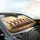 Attentive Chihuahua Dogs Blue Collar Ethereal Outdoor Landscape - Dog Lover Gift Car Sunshade - 6