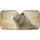 Noble White Lion Golden Eyes Golden Mist Radiant Sky - Wildlife Lover Gift Car Sunshade - 3
