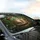 Pink Nose Sleeping Tabby Cat Lush Forest Undergrowth Red Berries - Cat Lover Gift Car Sunshade - 6
