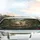 Pink Nose Sleeping Tabby Cat Lush Forest Undergrowth Red Berries - Cat Lover Gift Car Sunshade - 5