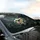 Opulent Frangipani Flowers Deep Green Leaves - Tropical Car Decor Gift Car Sunshade - 6