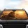 Majestic Adult Male Lion Golden Sunset African Savanna Wildlife Lover Gift Car Sunshade - 4