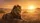 Majestic Adult Male Lion Golden Sunset African Savanna Wildlife Lover Gift Car Sunshade - 7