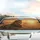 Majestic Adult Male Lion Golden Sunset African Savanna Wildlife Lover Gift Car Sunshade - 5