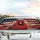 Northern Cardinal American Flag Road Trip Essential - Wildlife Lover Car Sunshade - 5